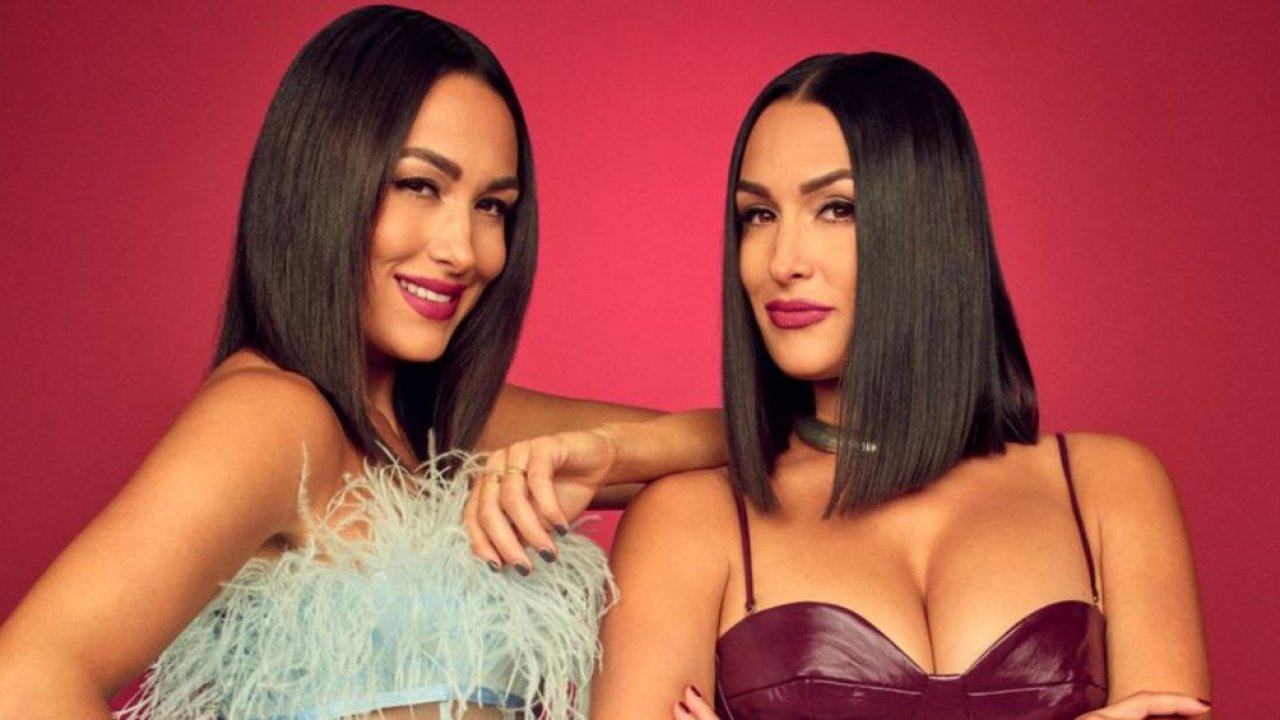 The Bella Twins