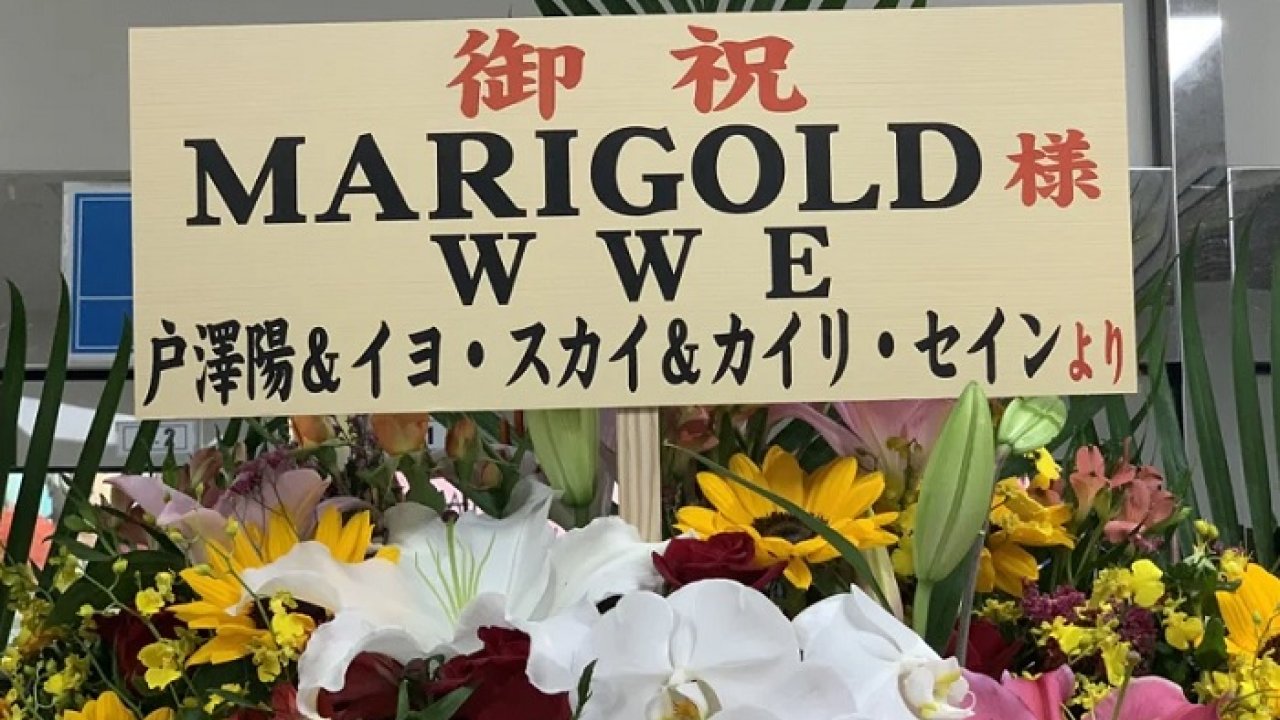 Marigold