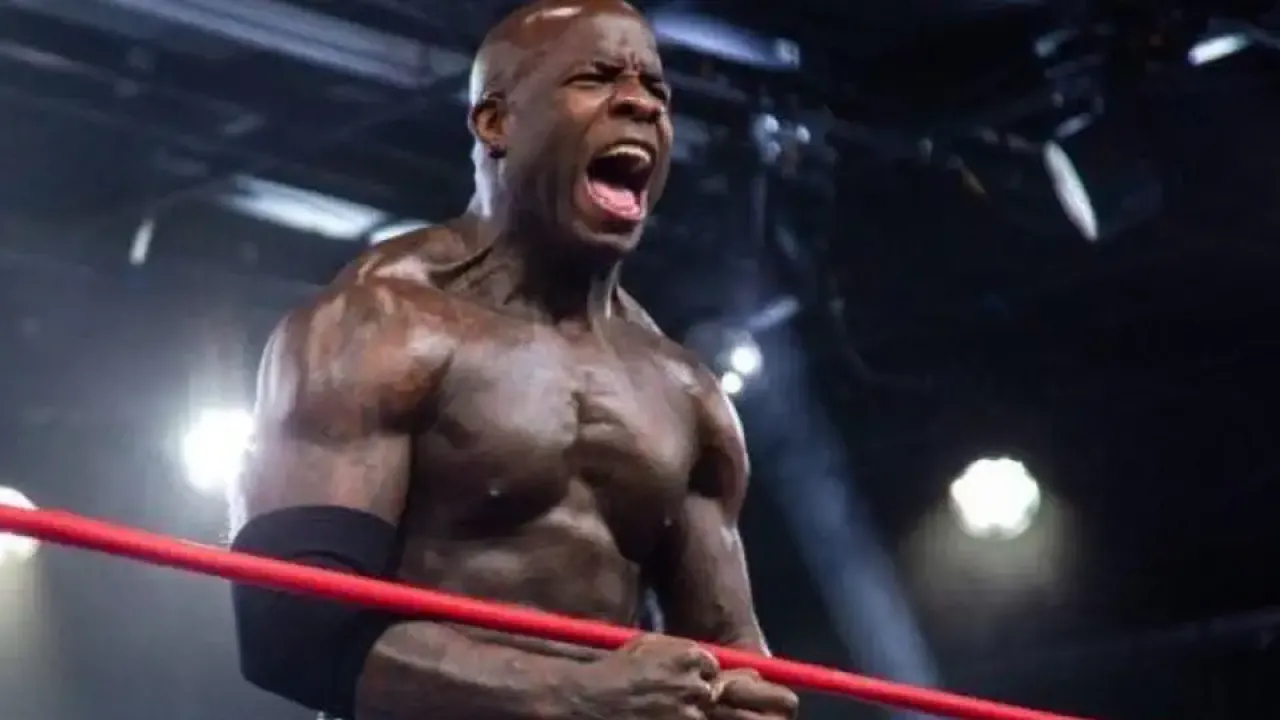 Moose-TNA