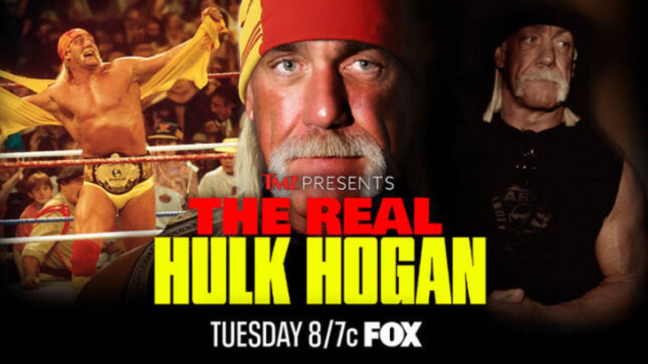 TMZ-Hogan