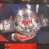 ROH Women's TV Title