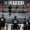 WWE Tryout Camp