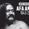 Afa Anoa'i