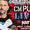 CM Punk