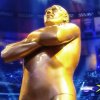 Andre The Giant Memorial Battle Royal