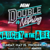 AEW Anarchy In The Arena Double or Nothing