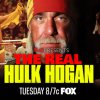 TMZ-Hogan